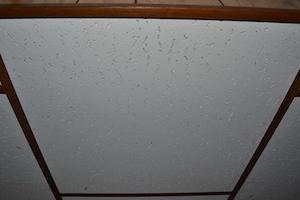 ceiling tiles